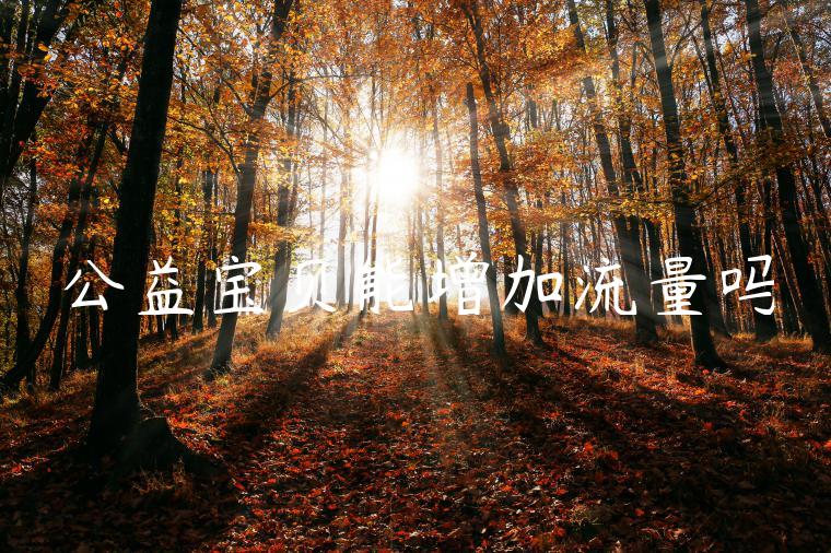 公益宝贝能增加流量吗