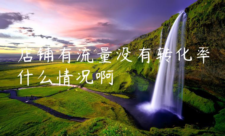 店铺有流量没有转化率什么情况啊