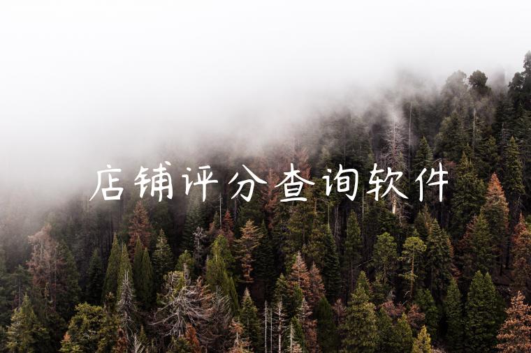 店铺评分查询软件 店铺评分查询软件