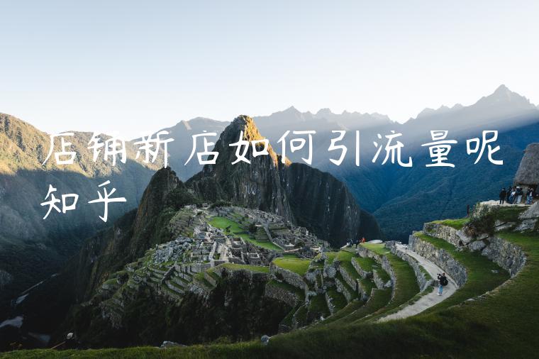 店铺新店如何引流量呢知乎