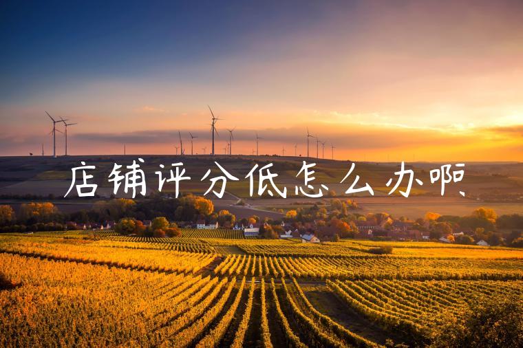店铺评分低怎么办啊 店铺评分低怎么办啊