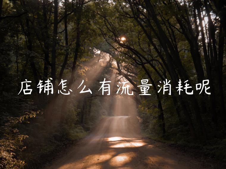 店铺怎么有流量消耗呢
