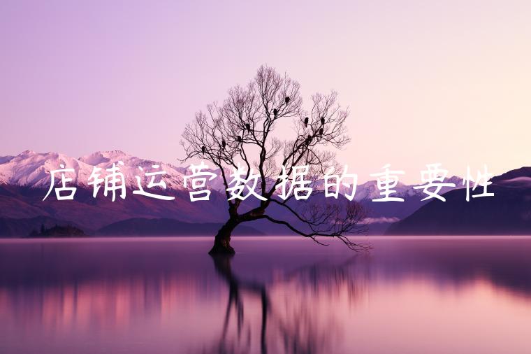 店铺运营数据的重要性