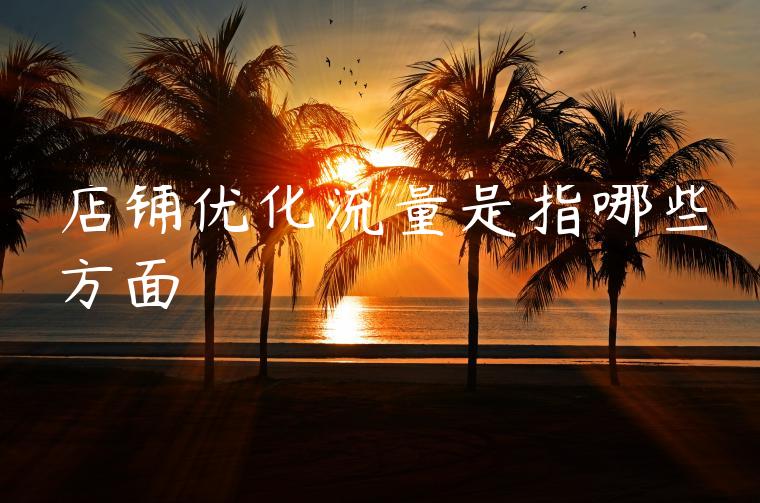 店铺优化流量是指哪些方面 店铺优化流量是指哪些方面