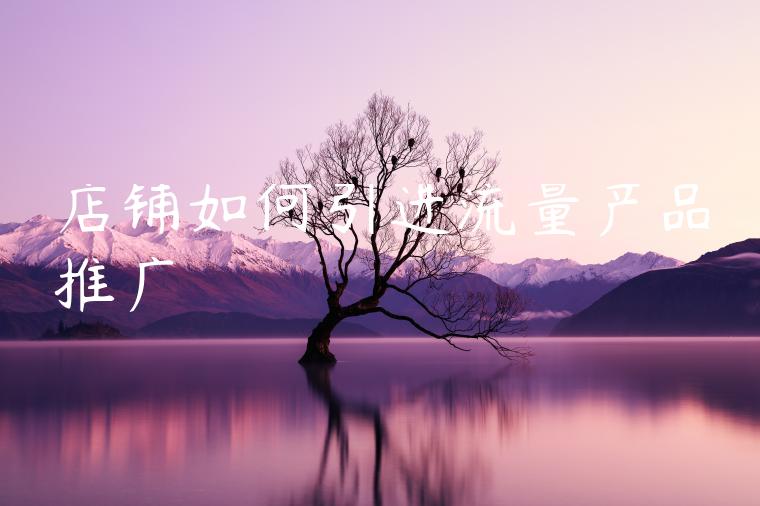 店铺如何引进流量产品推广 店铺如何引进流量产品推广