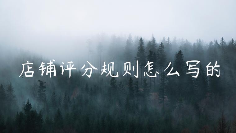 店铺评分规则怎么写的