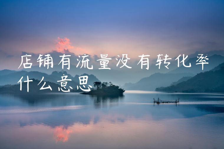 店铺有流量没有转化率什么意思 店铺有流量没有转化率什么意思