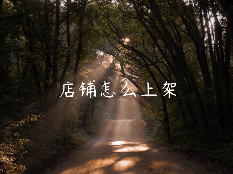 店铺怎么上架
