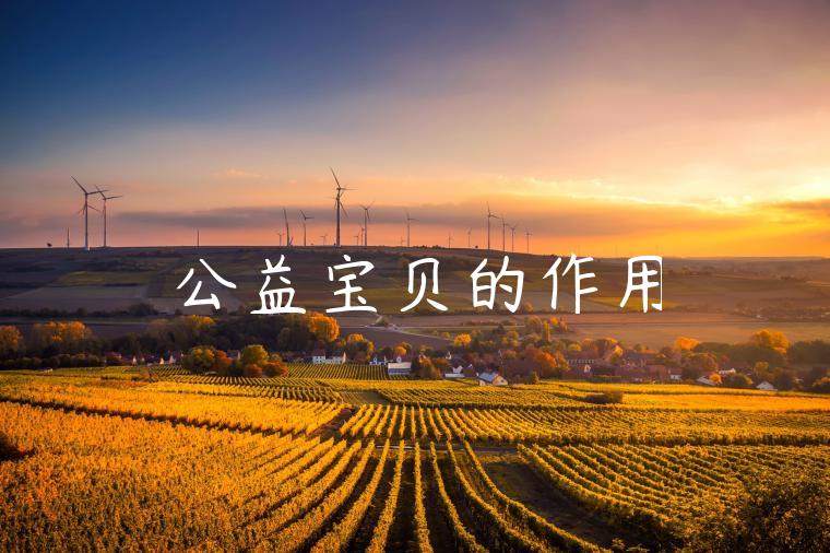 公益宝贝的作用