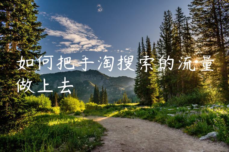 如何把手淘搜索的流量做上去