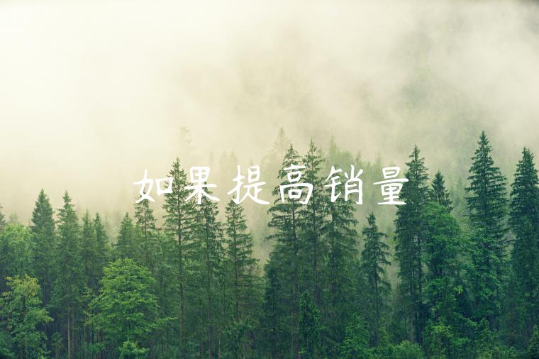 如果提高销量 如果提高销量