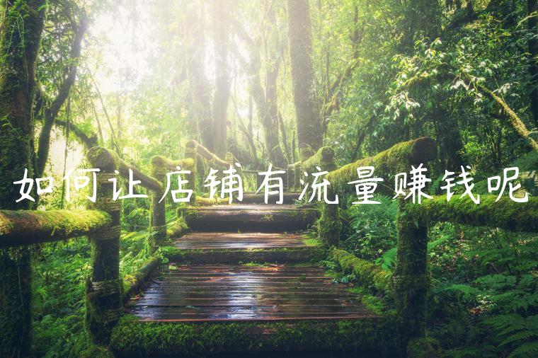 如何让店铺有流量赚钱呢