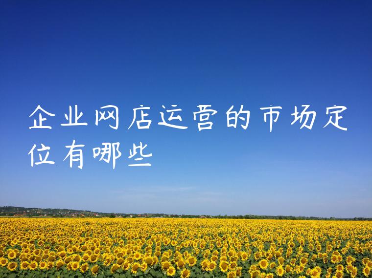 企业网店运营的市场定位有哪些 企业网店运营的市场定位有哪些