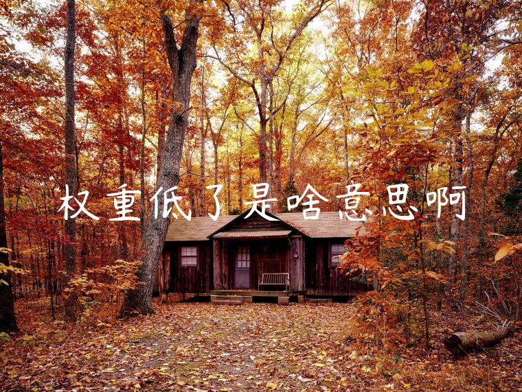 权重低了是啥意思啊 权重低了是啥意思啊