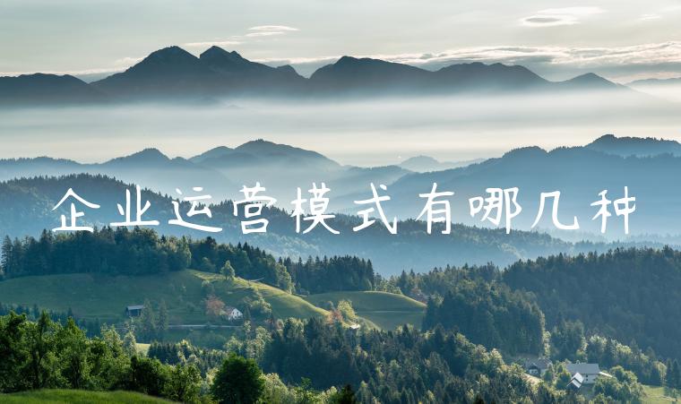 企业运营模式有哪几种
