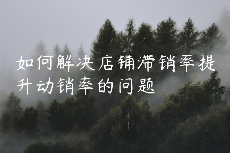 如何解决店铺滞销率提升动销率的问题