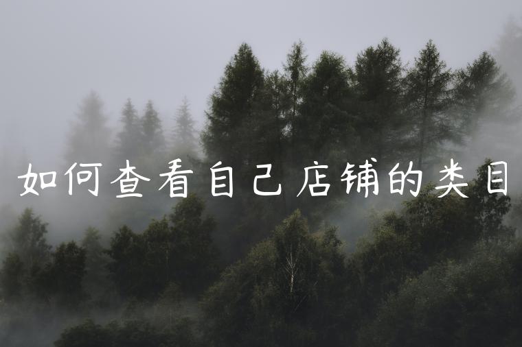 如何查看自己店铺的类目 如何查看自己店铺的类目