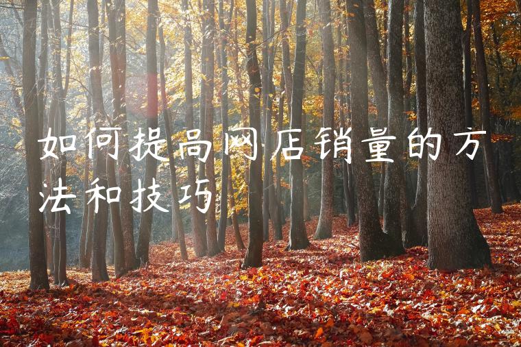 如何提高网店销量的方法和技巧