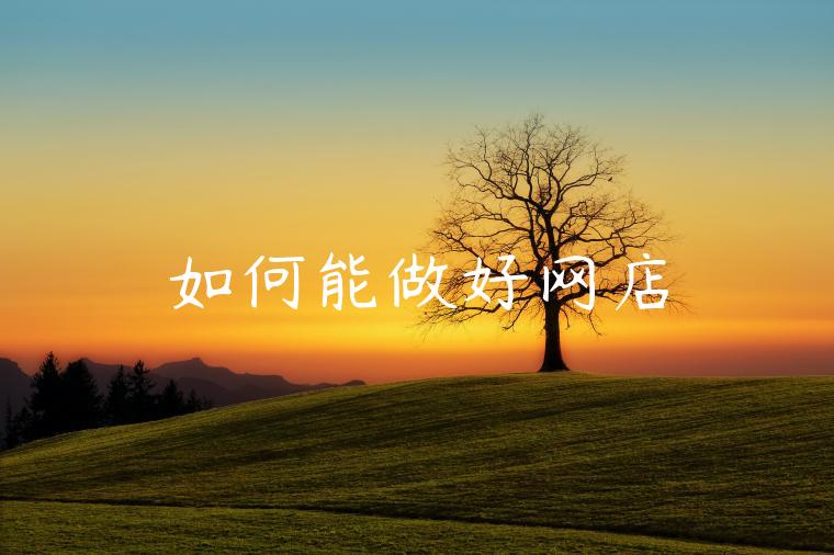 如何能做好网店