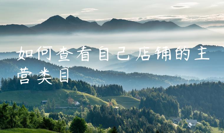 如何查看自己店铺的主营类目 如何查看自己店铺的主营类目
