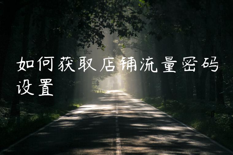 如何获取店铺流量密码设置