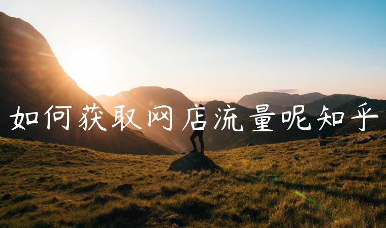 如何获取网店流量呢知乎