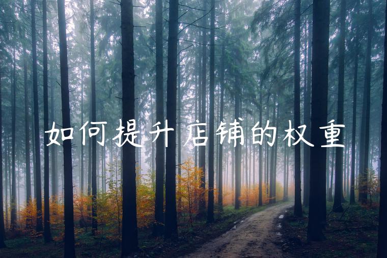 如何提升店铺的权重