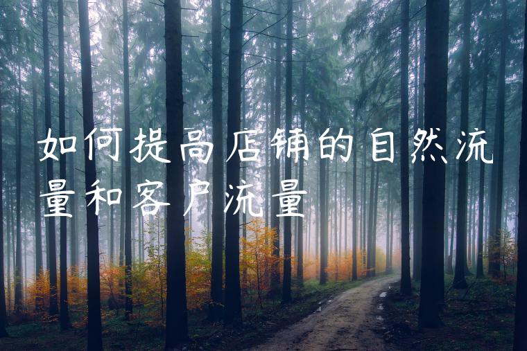 如何提高店铺的自然流量和客户流量