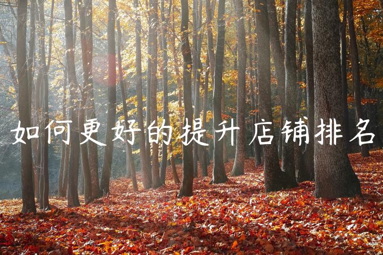 如何更好的提升店铺排名 如何更好的提升店铺排名