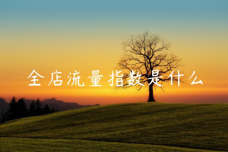 全店流量指数是什么 全店流量指数是什么
