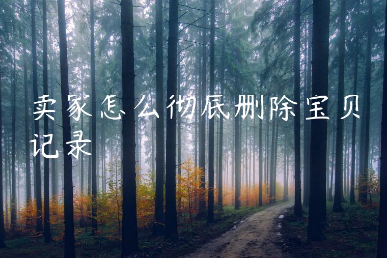 卖家怎么彻底删除宝贝记录 卖家怎么彻底删除宝贝记录