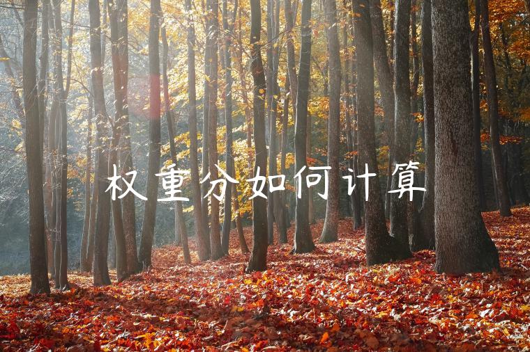 权重分如何计算 权重分如何计算