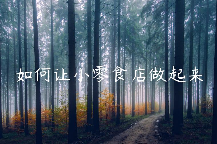如何让小零食店做起来